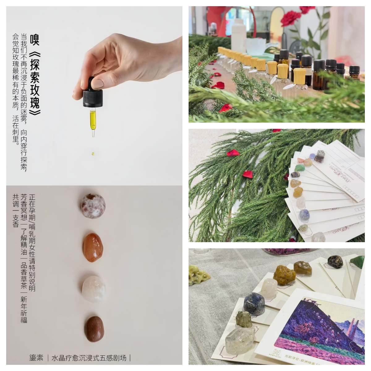 水晶&精油 主题：嗅·探索玫瑰